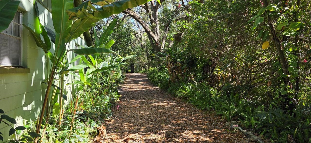 9906 Gunn Highway, Odessa, FL 33556 Photo