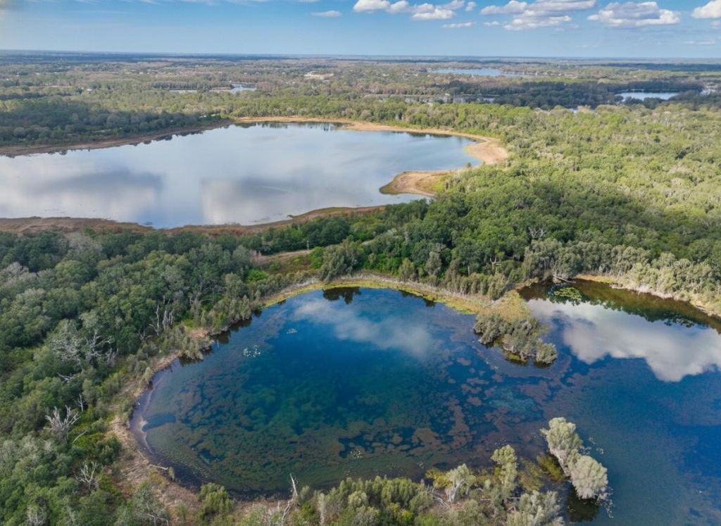 9906 Gunn Highway, Odessa, FL 33556 Photo