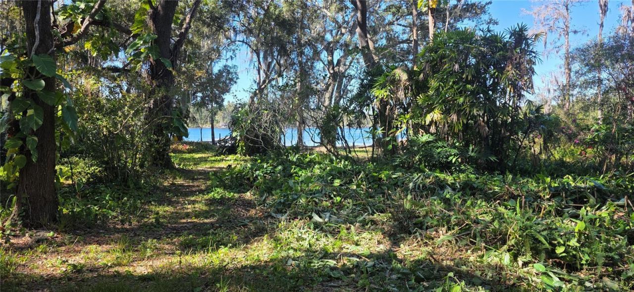 9906 Gunn Highway, Odessa, FL 33556 Photo