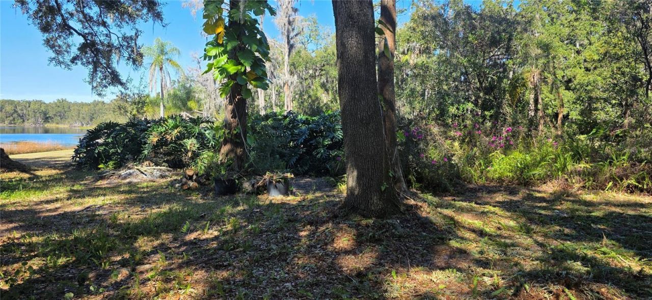 9906 Gunn Highway, Odessa, FL 33556 Photo