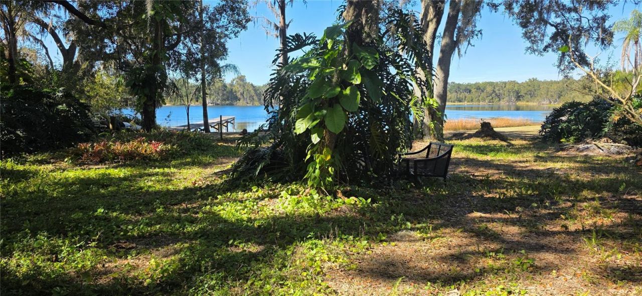 9906 Gunn Highway, Odessa, FL 33556 Photo