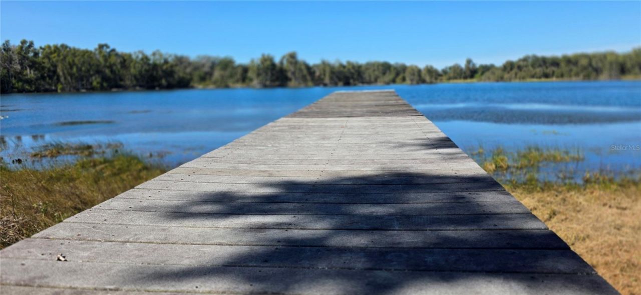 9906 Gunn Highway, Odessa, FL 33556 Photo