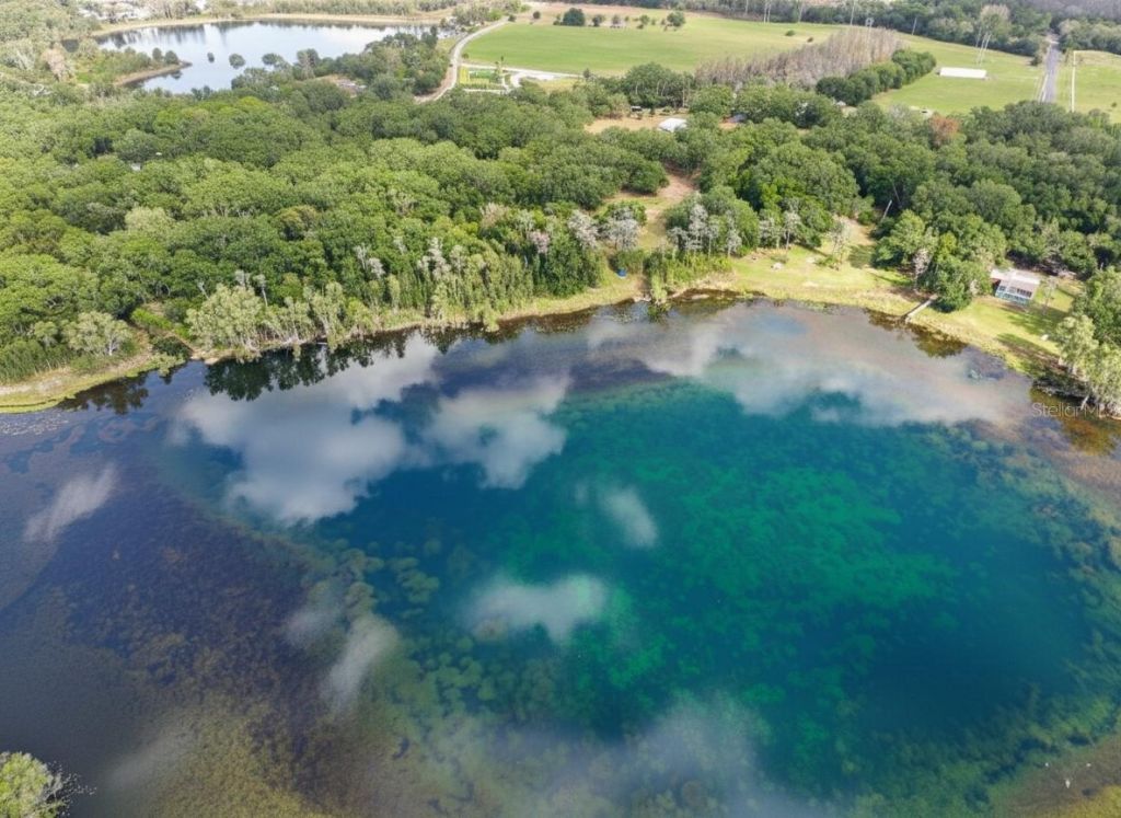 9906 Gunn Highway, Odessa, FL 33556 Photo