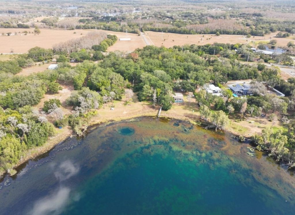 9906 Gunn Highway, Odessa, FL 33556 Photo