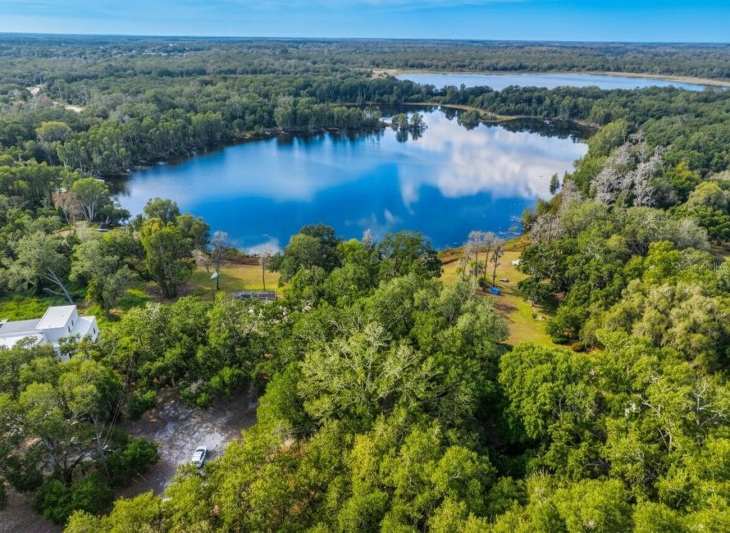 9906 Gunn Highway, Odessa, FL 33556 Photo