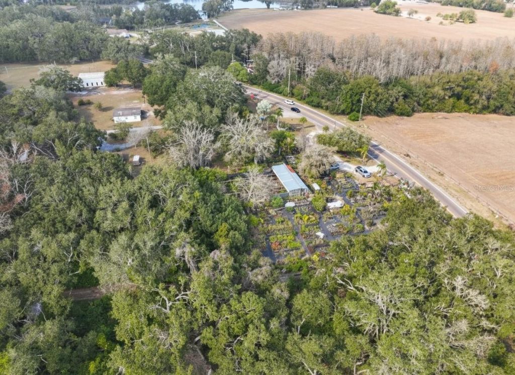 9906 Gunn Highway, Odessa, FL 33556 Photo