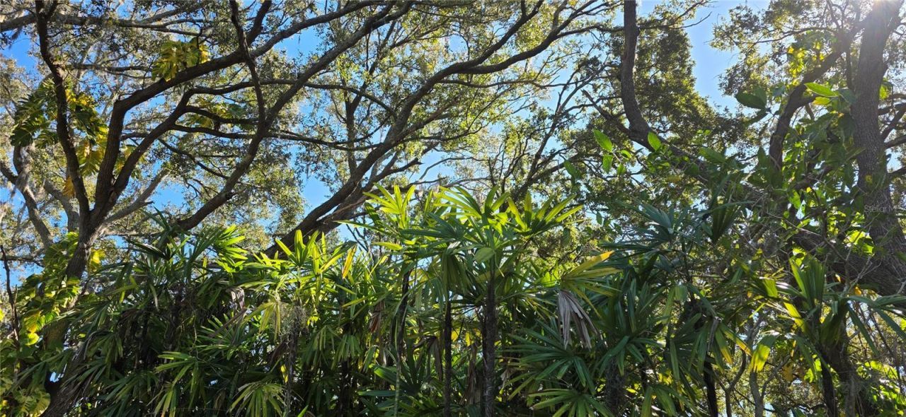 9906 Gunn Highway, Odessa, FL 33556 Photo