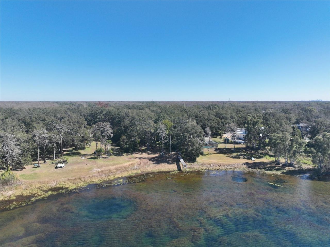 9906 Gunn Highway, Odessa, FL 33556 Photo