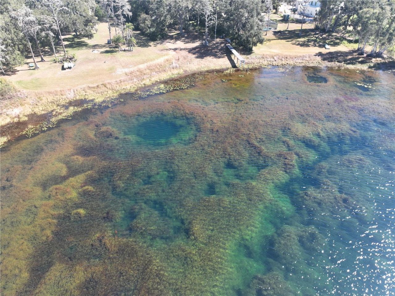 9906 Gunn Highway, Odessa, FL 33556 Photo