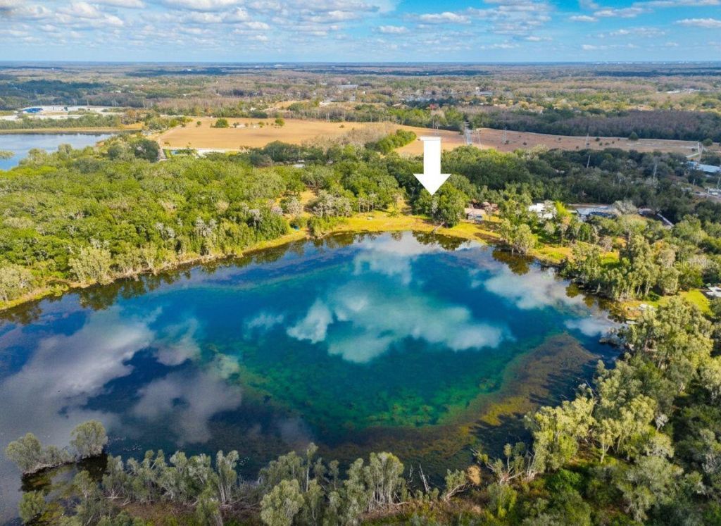 9906 Gunn Highway, Odessa, FL 33556 Photo