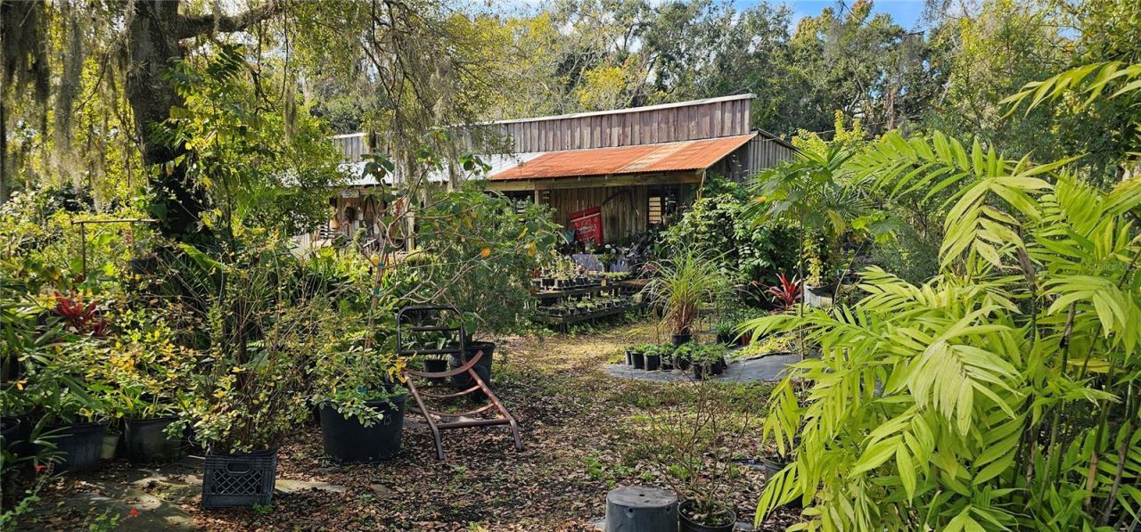 9906 Gunn Highway, Odessa, FL 33556 Photo