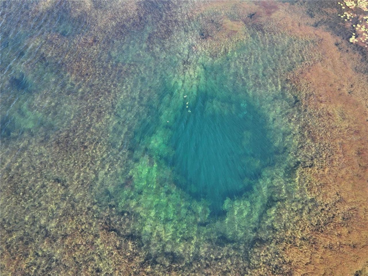 9906 Gunn Highway, Odessa, FL 33556 Photo