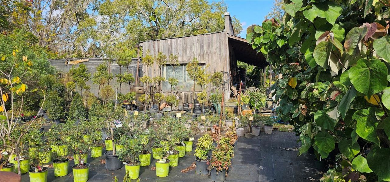 9906 Gunn Highway, Odessa, FL 33556 Photo