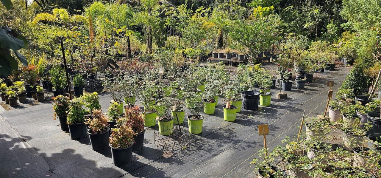 9906 Gunn Highway, Odessa, FL 33556 Photo