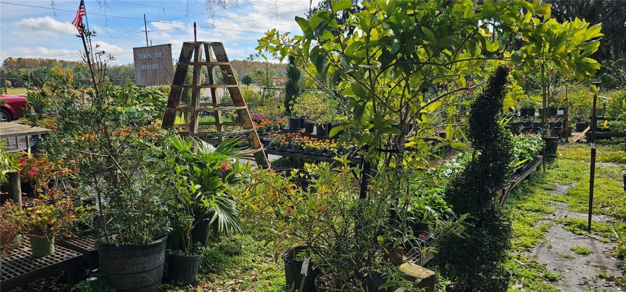 9906 Gunn Highway, Odessa, FL 33556 Photo