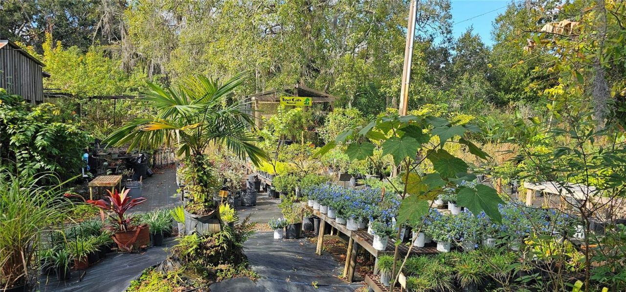 9906 Gunn Highway, Odessa, FL 33556 Photo