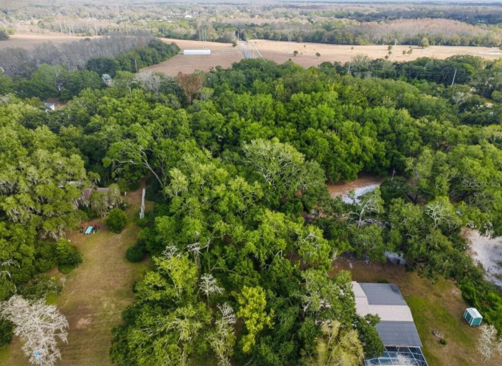 9906 Gunn Highway, Odessa, FL 33556 Photo