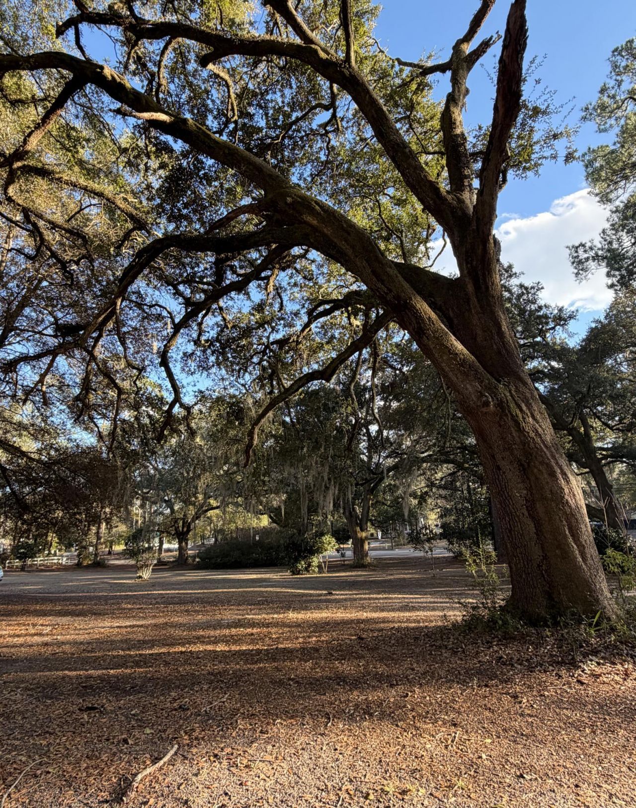 1217 Wichman Street Photo 33