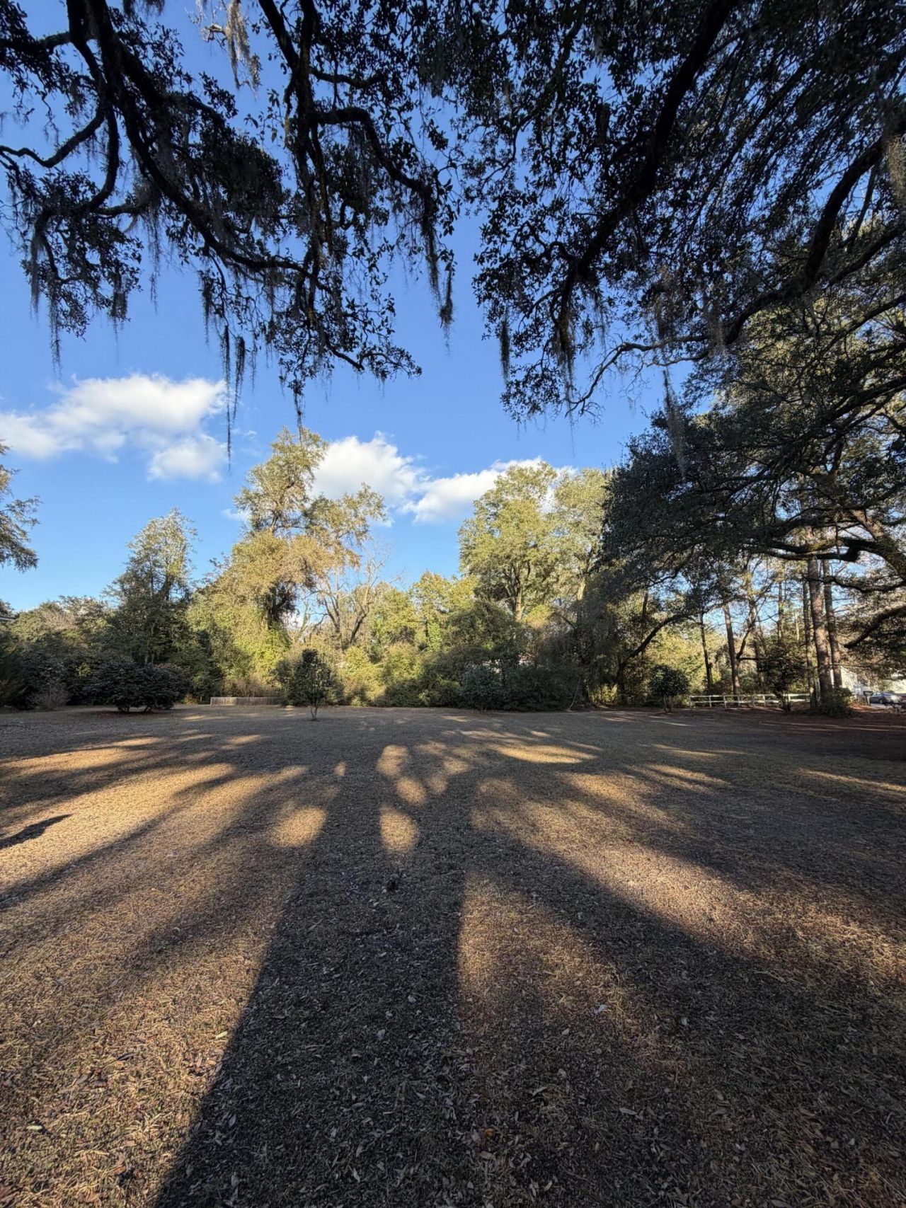 1217 Wichman Street Photo 37