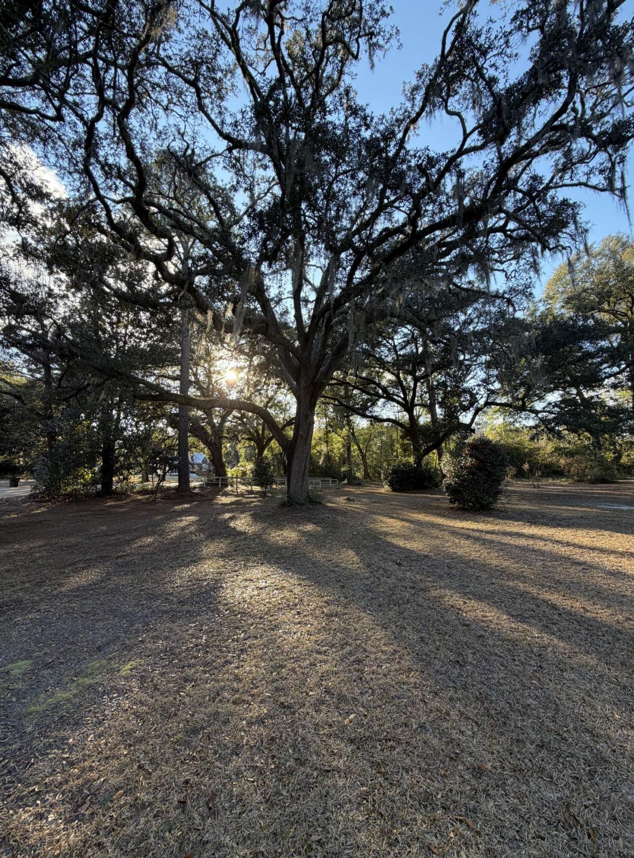 1217 Wichman Street Photo 38