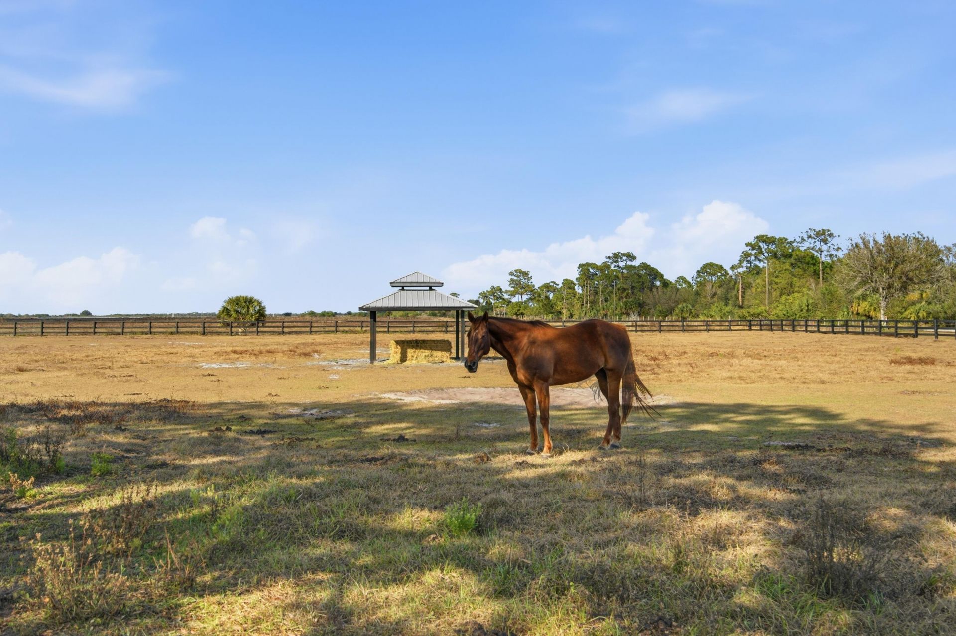 13850 SW Allapattah Road, Indiantown, FL 34956 Photo