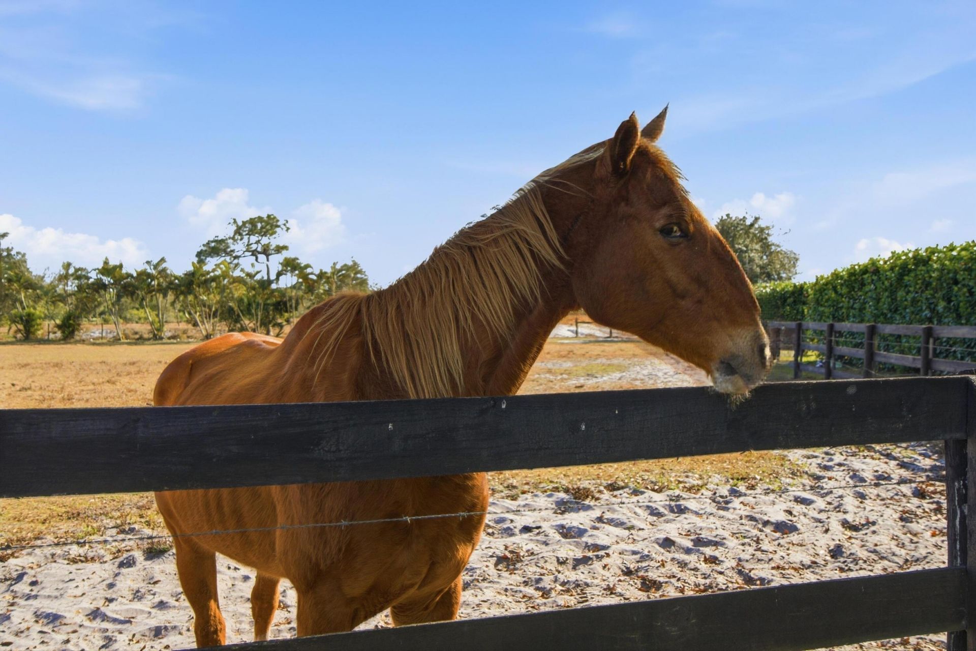 13850 SW Allapattah Road, Indiantown, FL 34956 Photo