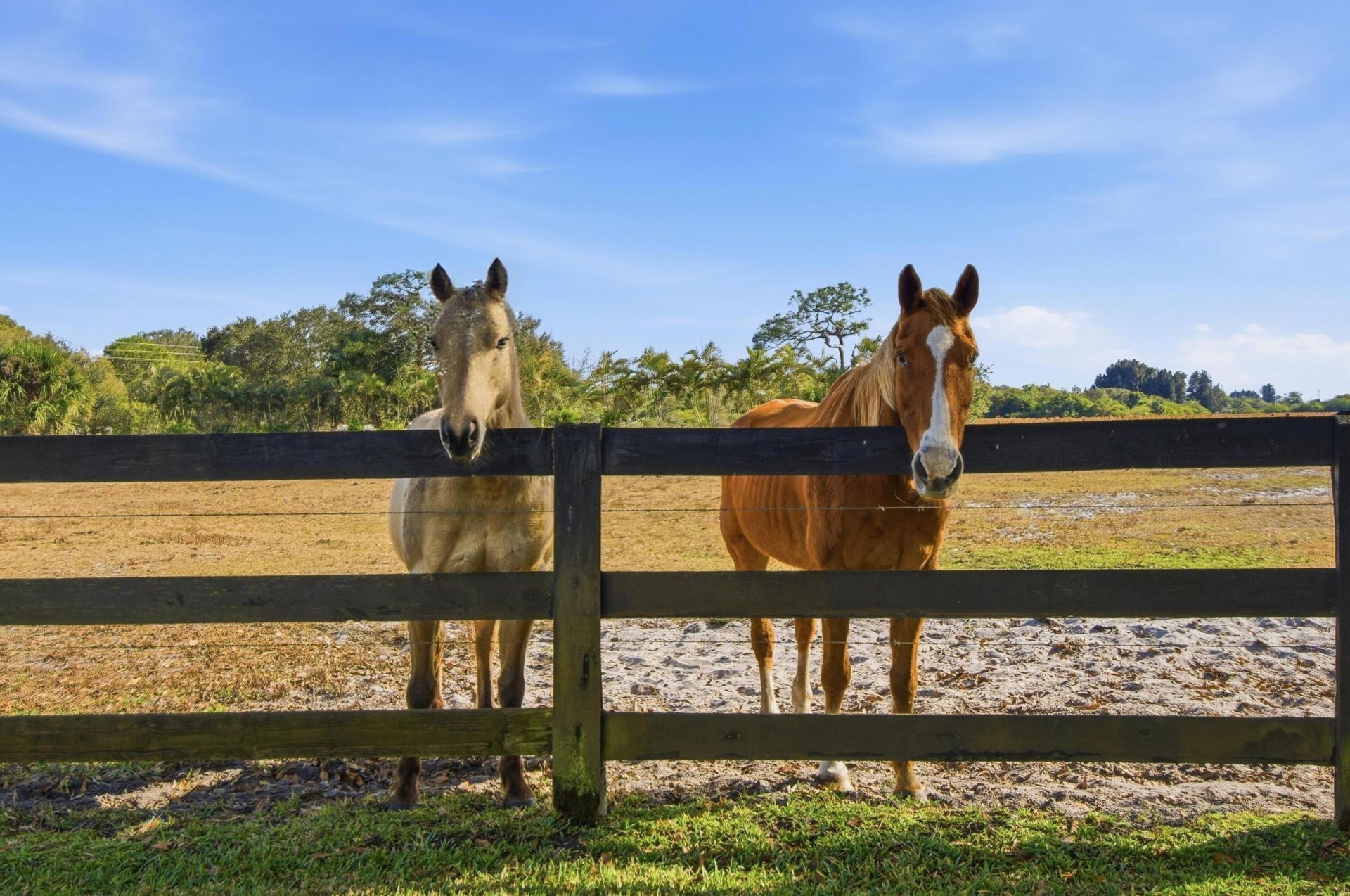 13850 SW Allapattah Road, Indiantown, FL 34956 Photo