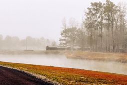 573 Sandridge Road  photo 4