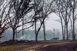 573 Sandridge Road  photo 4