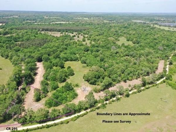 Tract 3 County Road 295, Oakwood, TX 75855
