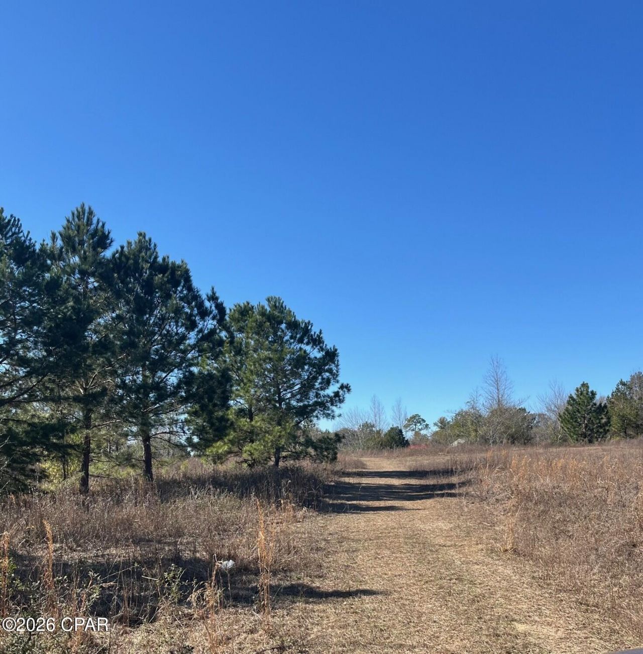 2889 Salem Church Road, Sneads, FL 32460 Main Photo