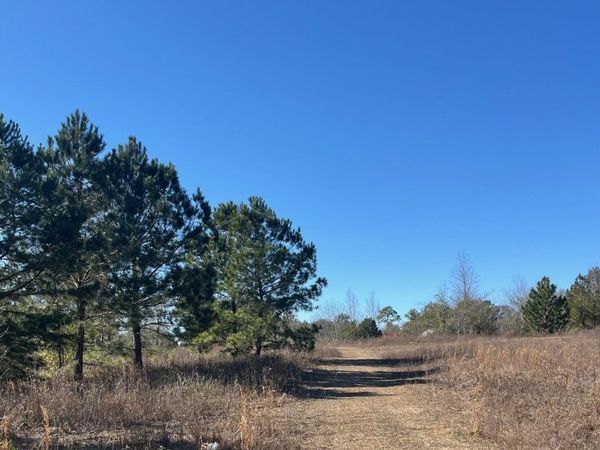 2889 Salem Church Road, Sneads, FL 32460