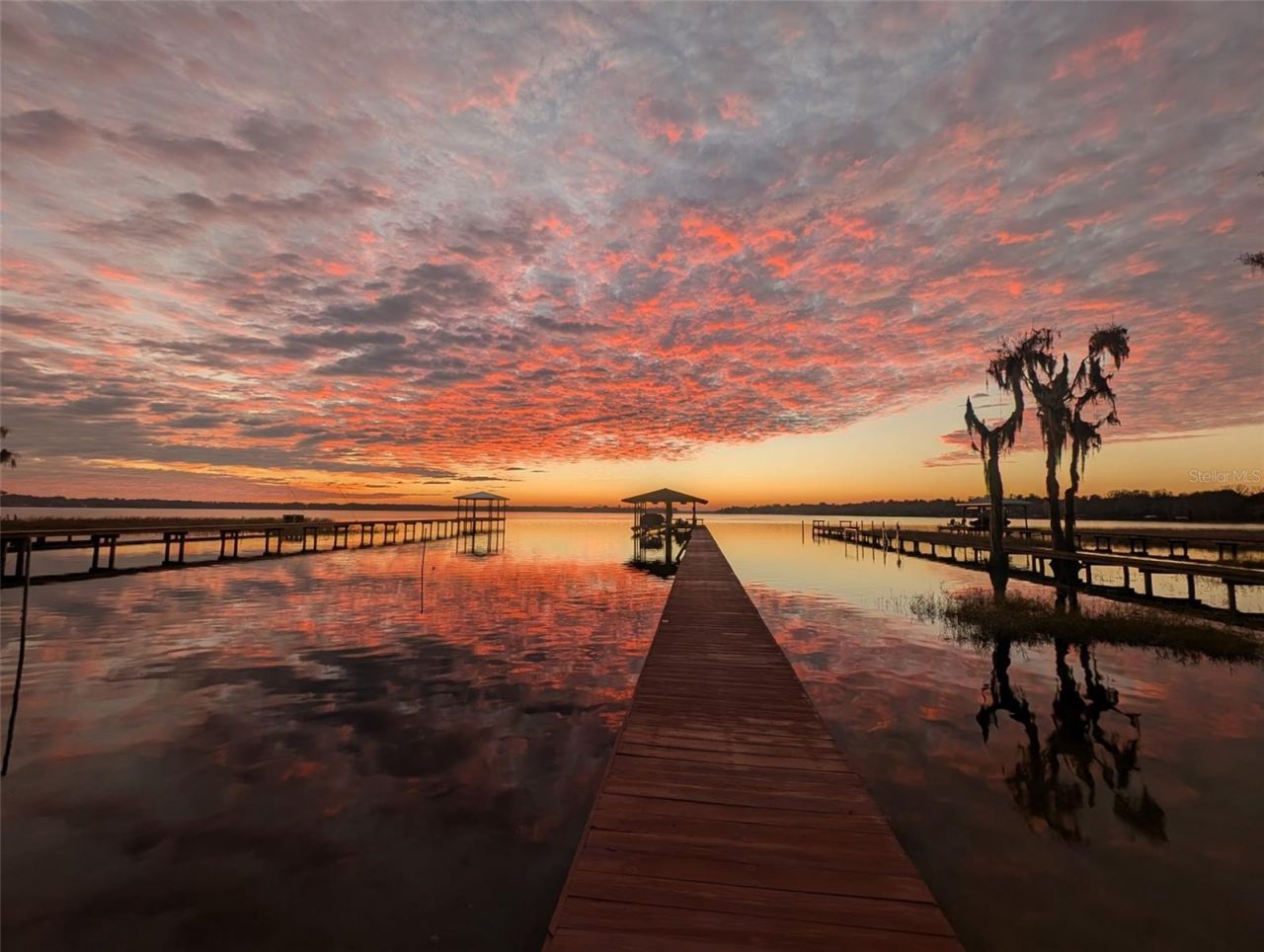 12603 NE 204 Terrace, Waldo, FL 32694 Photo