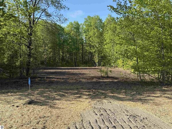 1128 Solaris Way E, Maple City, MI 49664