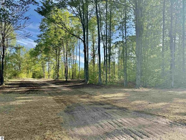 1155 Solaris Way E, Maple City, MI 49664