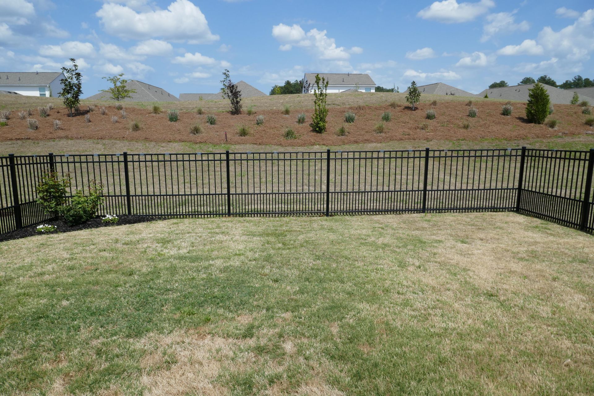 350 Dahlia Row Drive Photo 46