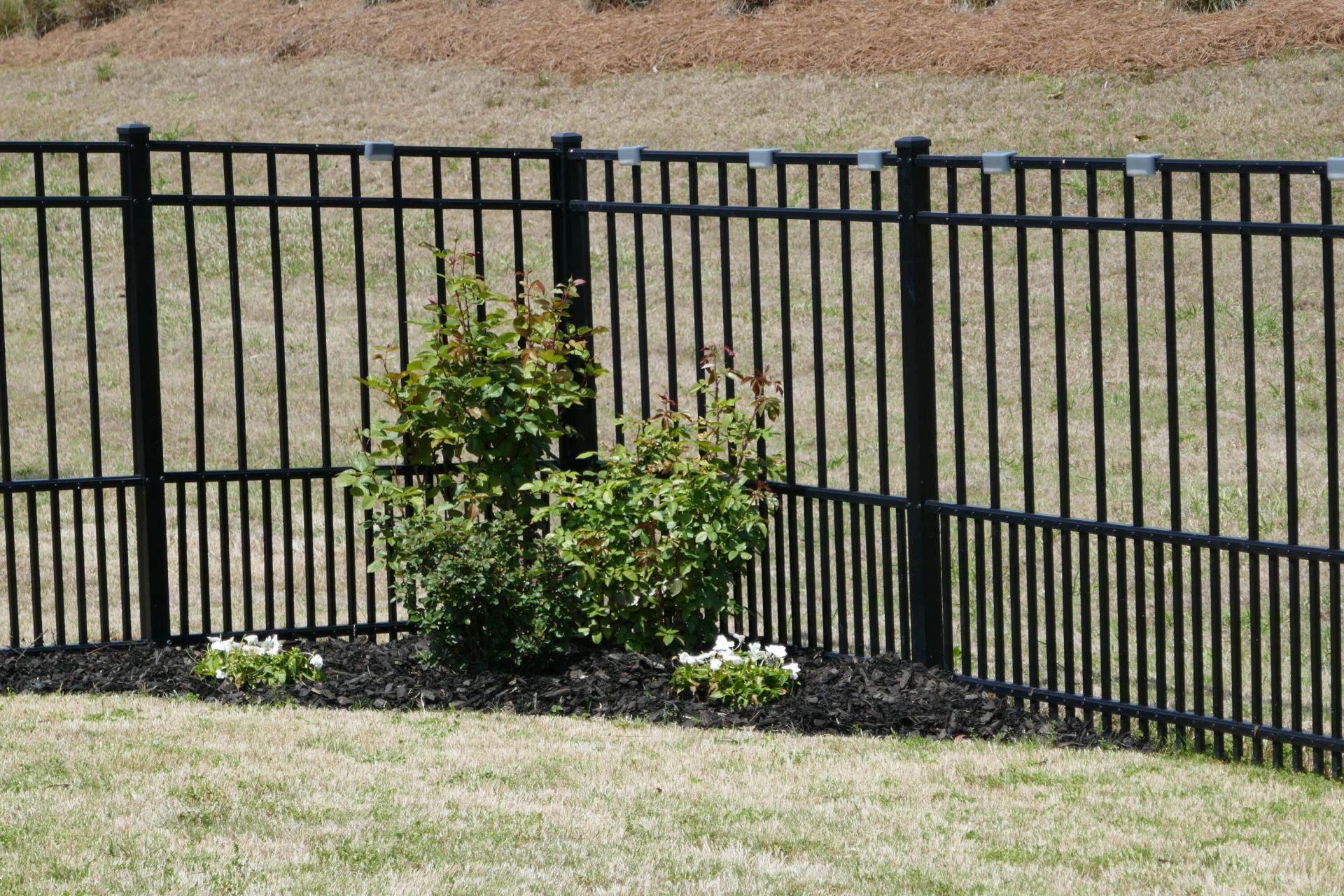 350 Dahlia Row Drive Photo 47