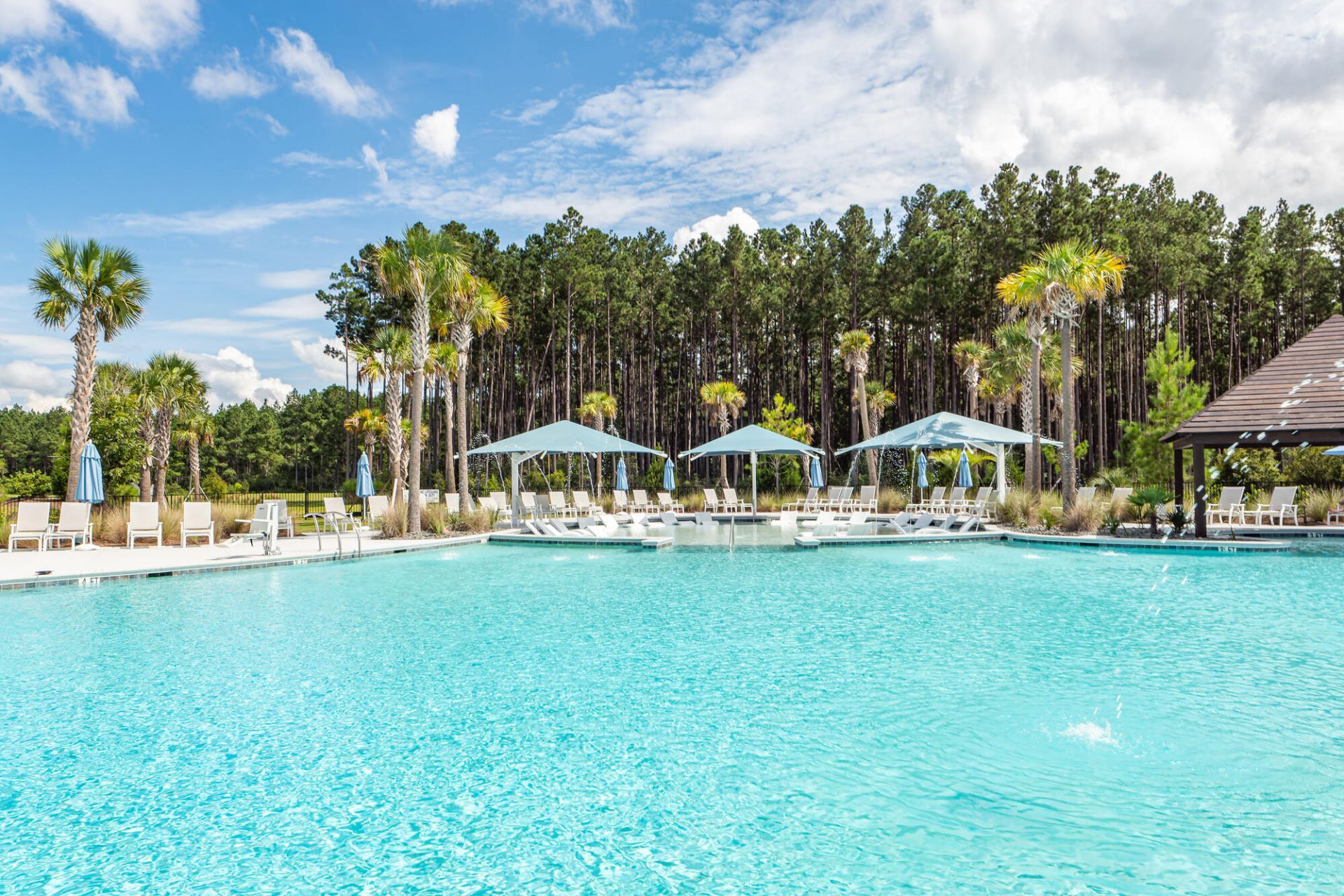 350 Dahlia Row Drive Photo 63