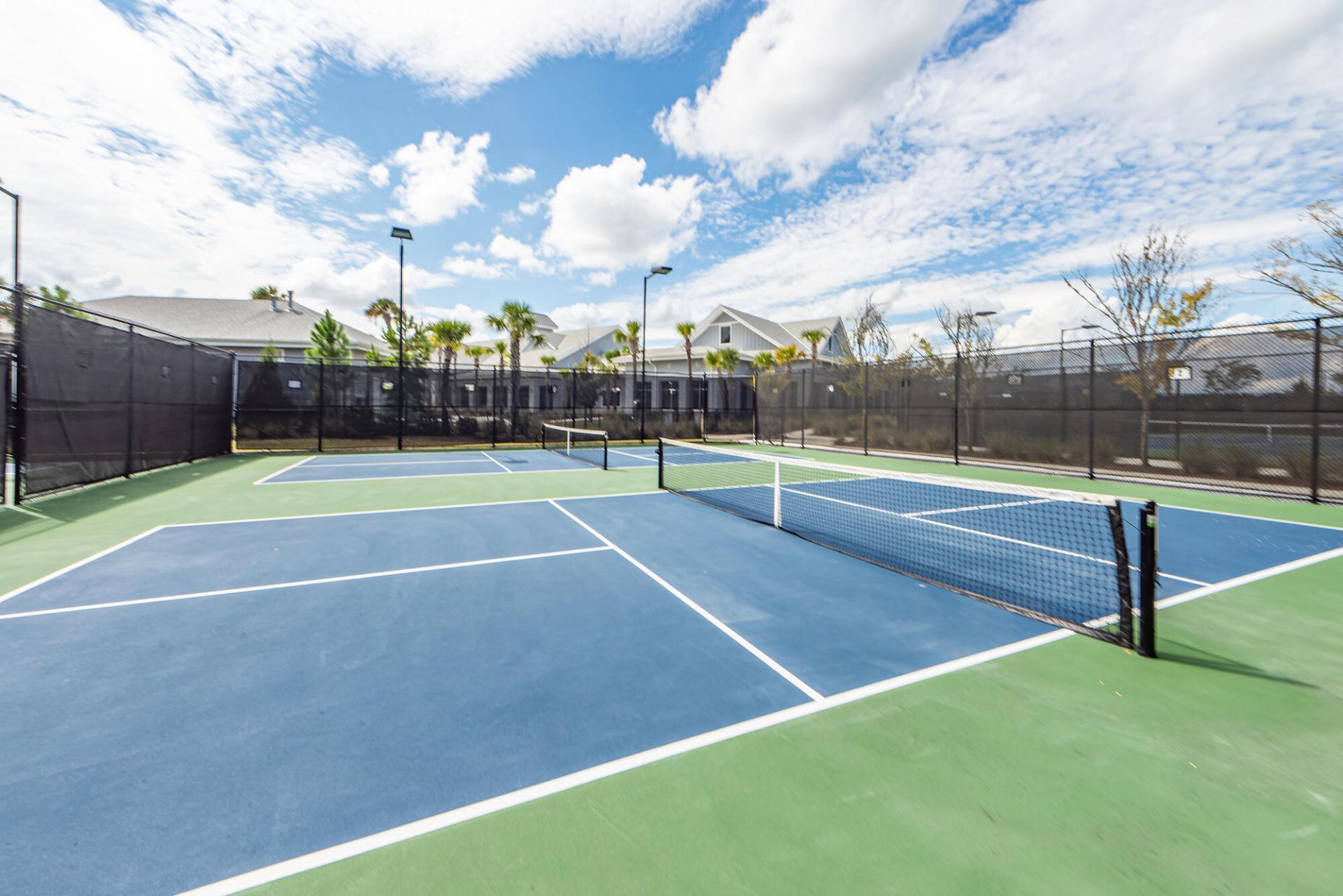 350 Dahlia Row Drive Photo 67