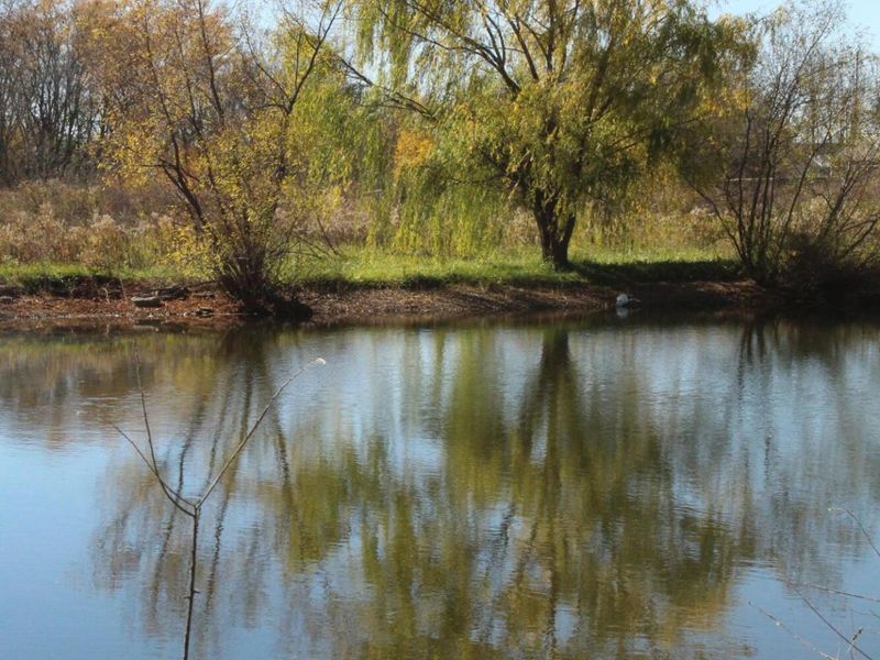 9660 County Road 66a, New Bremen, OH 45869 Photo 6