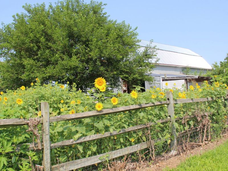 9660 County Road 66a, New Bremen, OH 45869 Photo 7