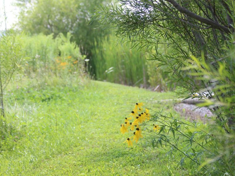 9660 County Road 66a, New Bremen, OH 45869 Photo 8