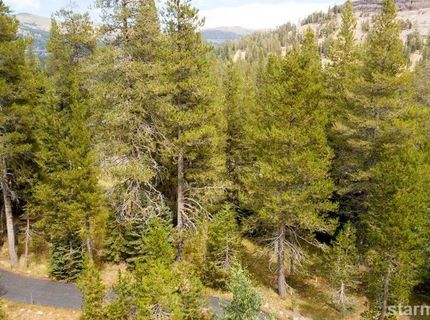 34030 Fremont Rd., Kirkwood, CA 95646 Photo