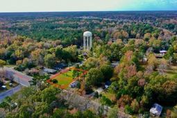 231 S Live Oak Drive photo 4