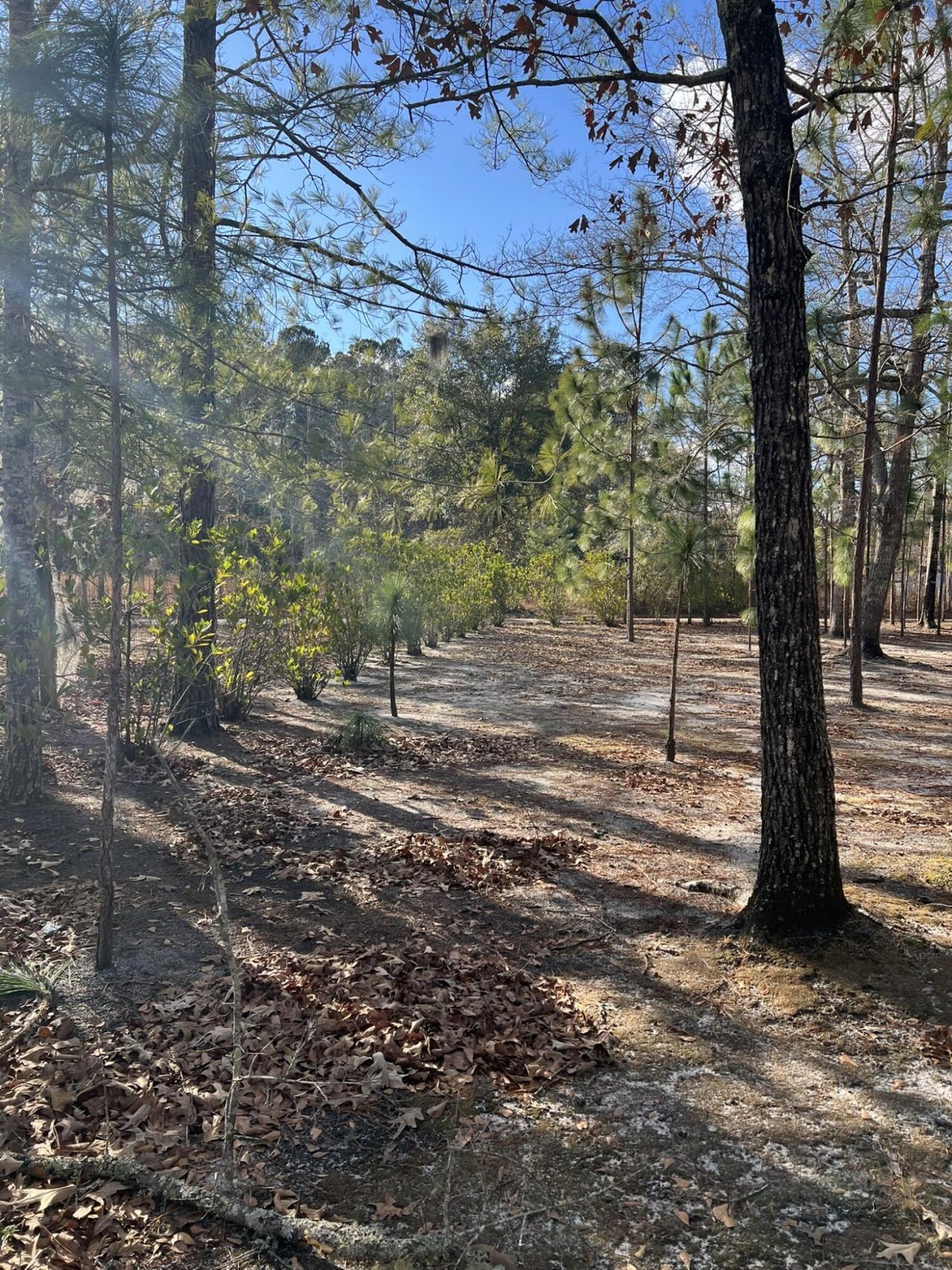 00 Turner Lane Photo 13