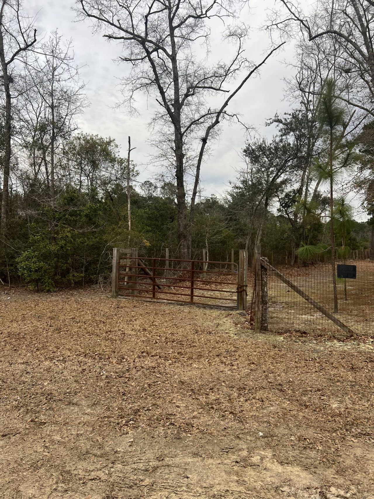 00 Turner Lane Photo 17