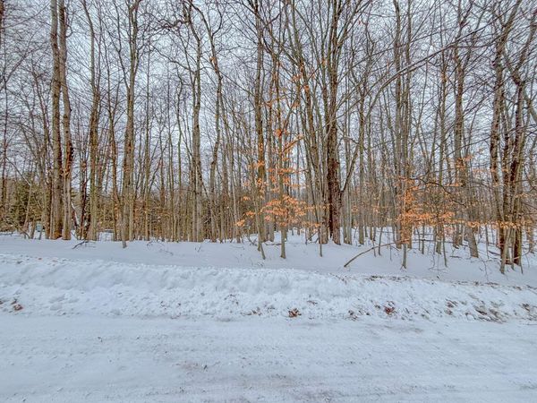 12329 Wagon Wheel Trail, Unit #387, Canadian Lakes, MI 49346