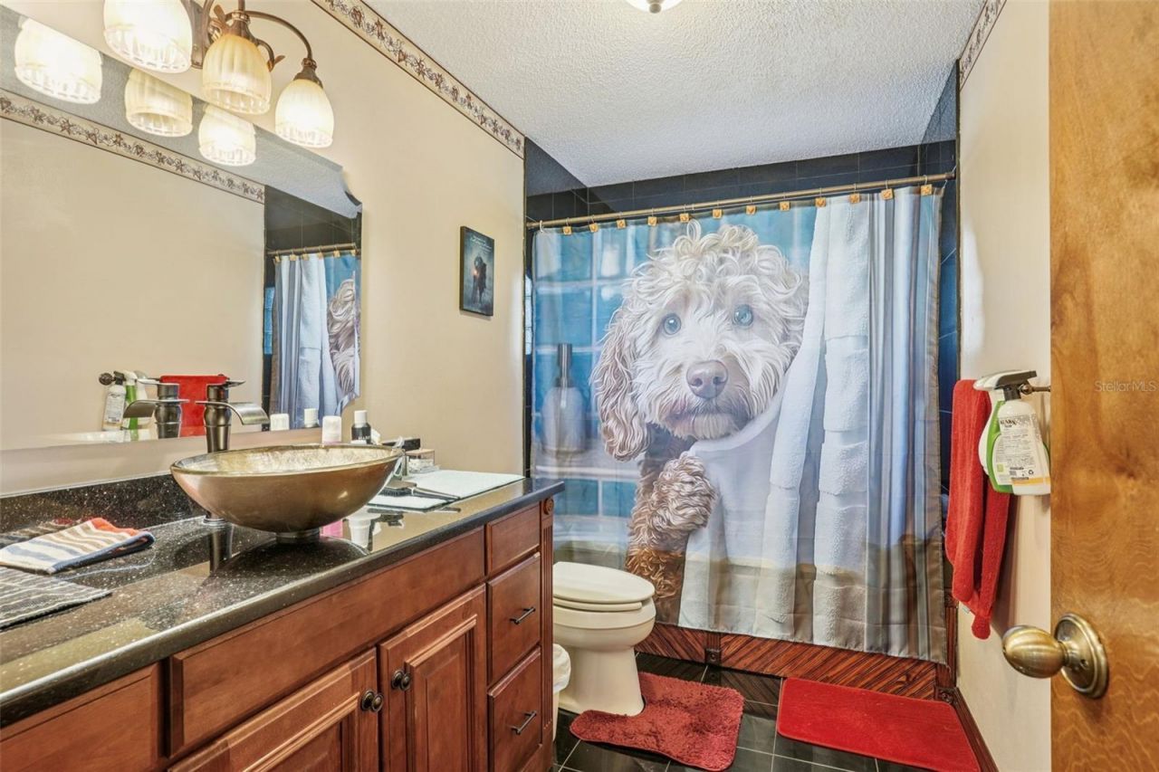 29207 Old Mill W, Tavares, FL 32778 Photo