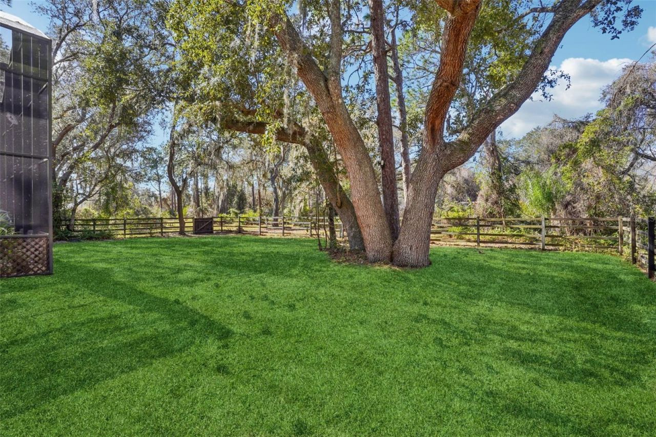 29207 Old Mill W, Tavares, FL 32778 Photo