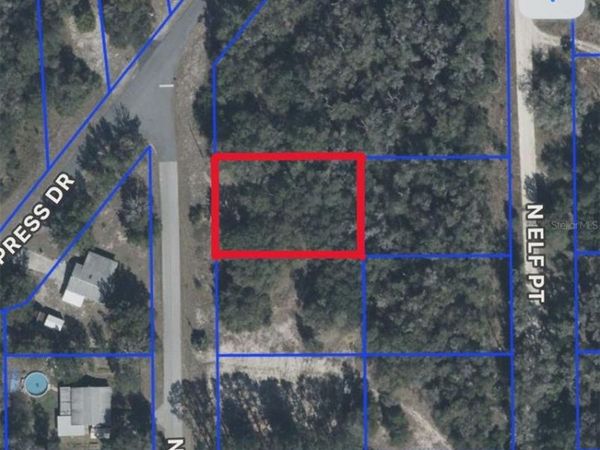 12405 N GOLDIE POINT, DUNNELLON, FL 34433